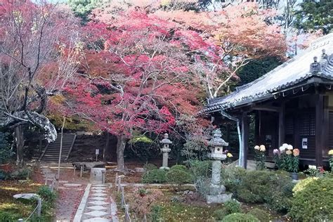 神峰山寺|神峯山寺 